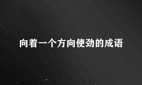 向着一个方向使劲的成语