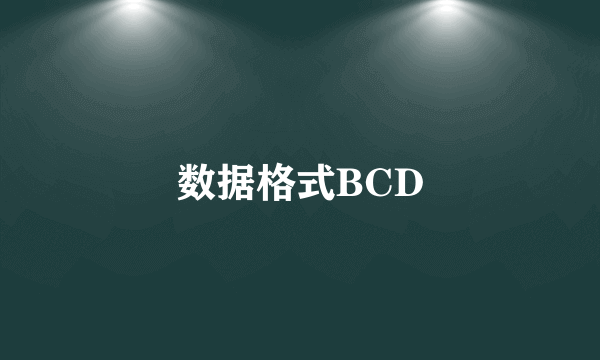 数据格式BCD