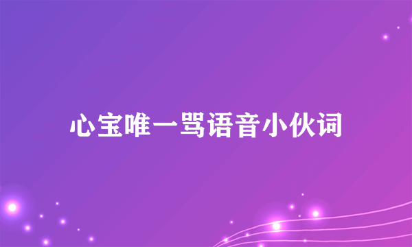 心宝唯一骂语音小伙词