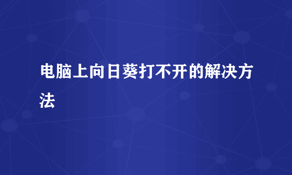 电脑上向日葵打不开的解决方法