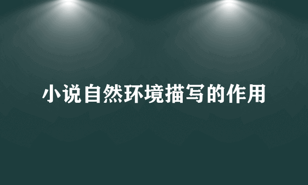 小说自然环境描写的作用