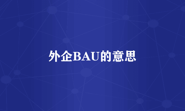外企BAU的意思