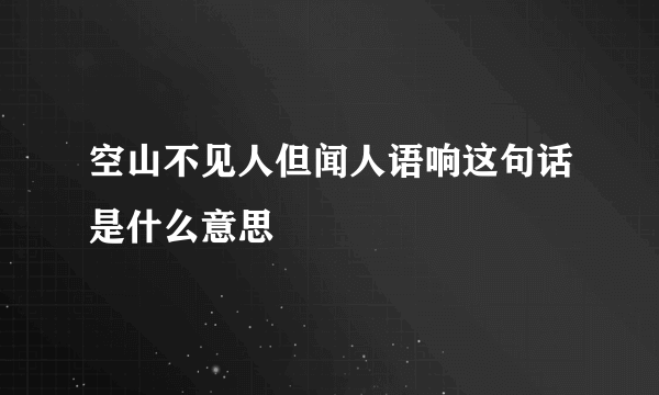 空山不见人但闻人语响这句话是什么意思