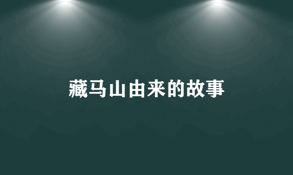 藏马山由来的故事