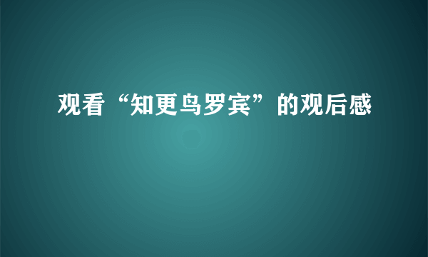 观看“知更鸟罗宾”的观后感