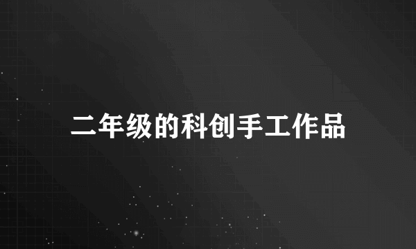 二年级的科创手工作品