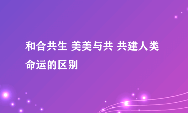 和合共生 美美与共 共建人类命运的区别