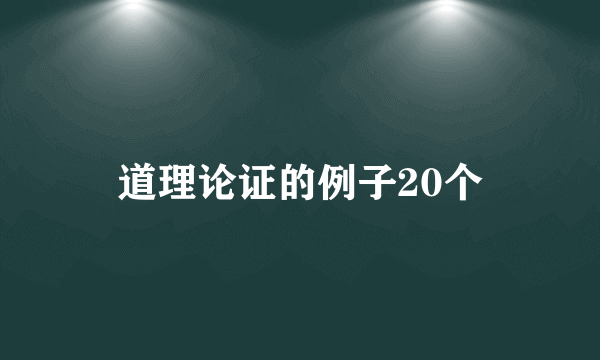 道理论证的例子20个