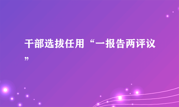 干部选拔任用“一报告两评议”
