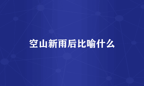 空山新雨后比喻什么