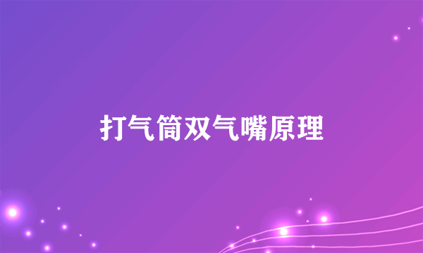 打气筒双气嘴原理