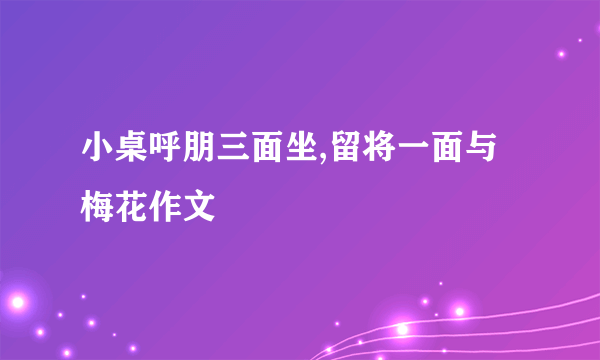 小桌呼朋三面坐,留将一面与梅花作文