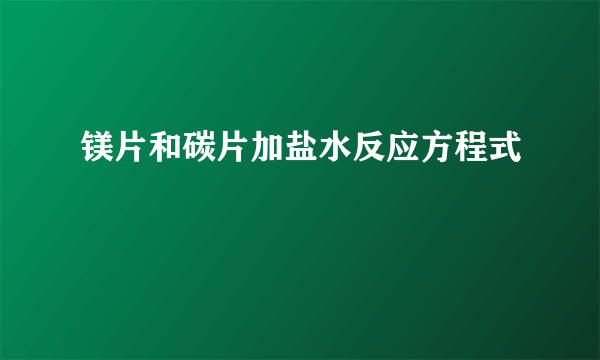 镁片和碳片加盐水反应方程式