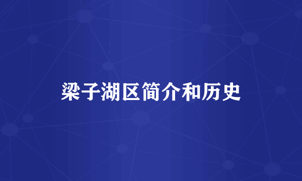 梁子湖区简介和历史