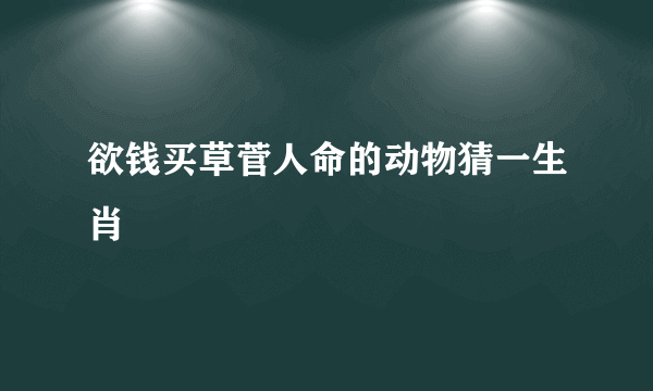 欲钱买草菅人命的动物猜一生肖