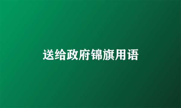 送给政府锦旗用语