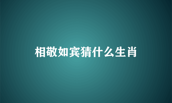 相敬如宾猜什么生肖