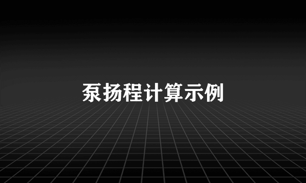 泵扬程计算示例