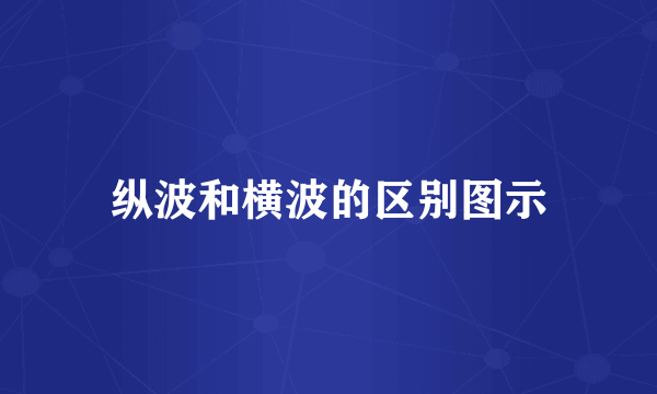纵波和横波的区别图示