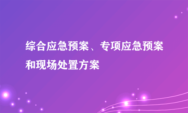 综合应急预案、专项应急预案和现场处置方案