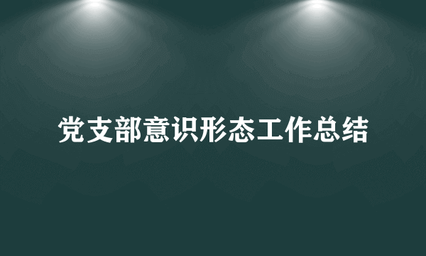 党支部意识形态工作总结