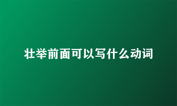壮举前面可以写什么动词