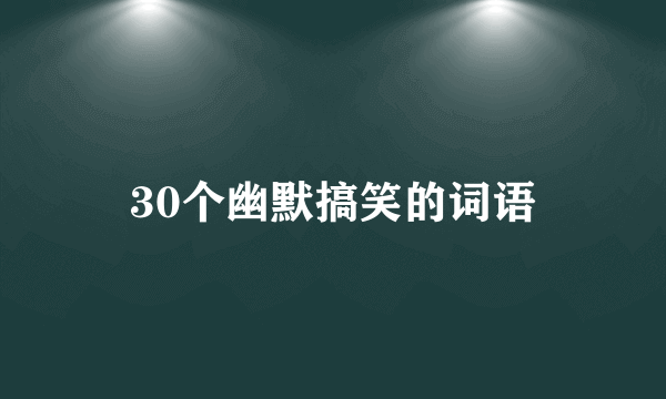 30个幽默搞笑的词语