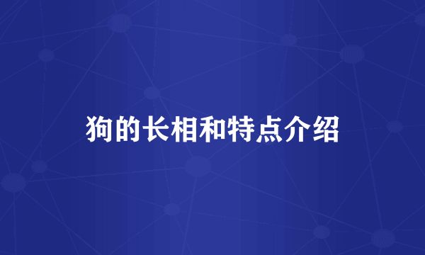 狗的长相和特点介绍
