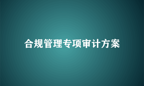 合规管理专项审计方案