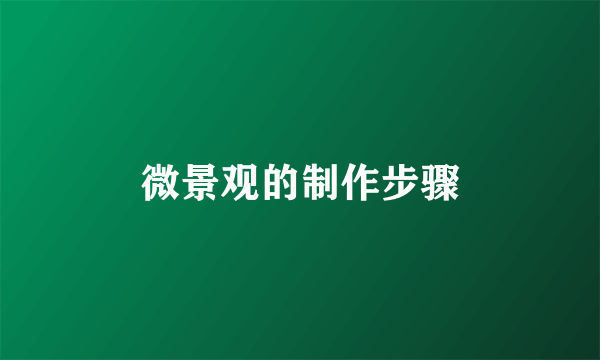 微景观的制作步骤