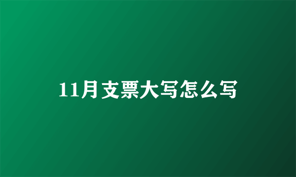 11月支票大写怎么写