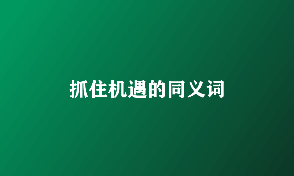 抓住机遇的同义词