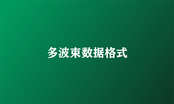 多波束数据格式