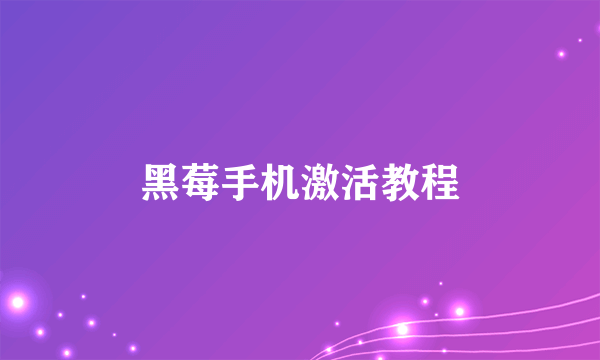 黑莓手机激活教程