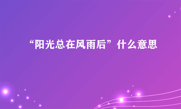 “阳光总在风雨后”什么意思