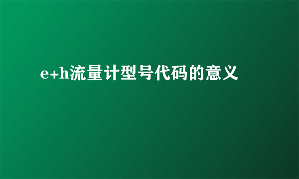 e+h流量计型号代码的意义