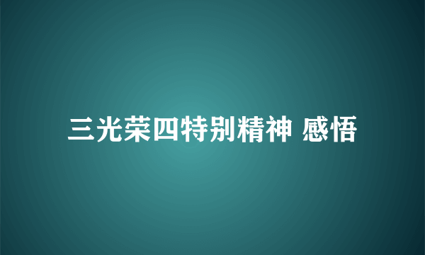 三光荣四特别精神 感悟