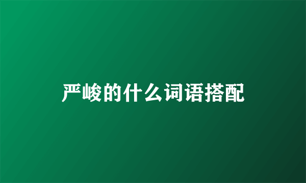 严峻的什么词语搭配