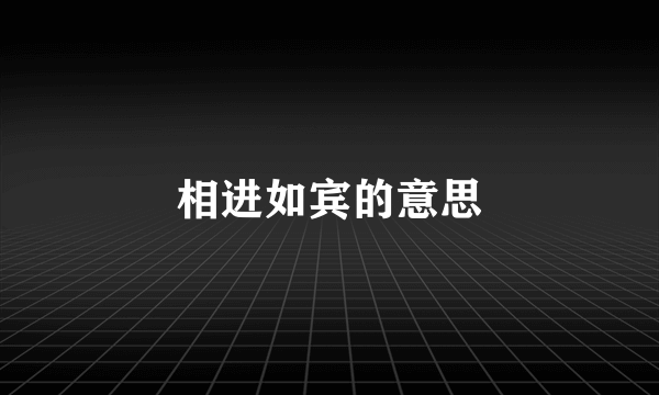 相进如宾的意思