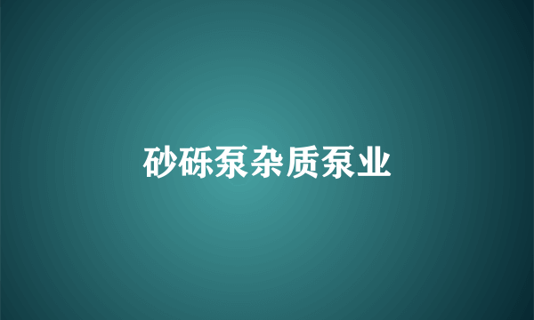 砂砾泵杂质泵业