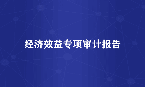 经济效益专项审计报告
