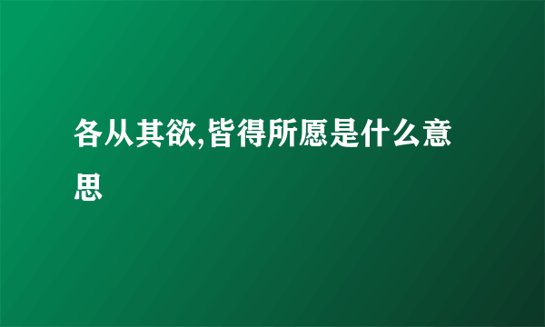 各从其欲,皆得所愿是什么意思