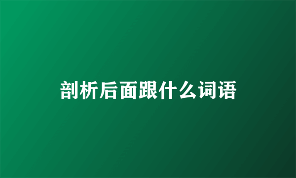 剖析后面跟什么词语