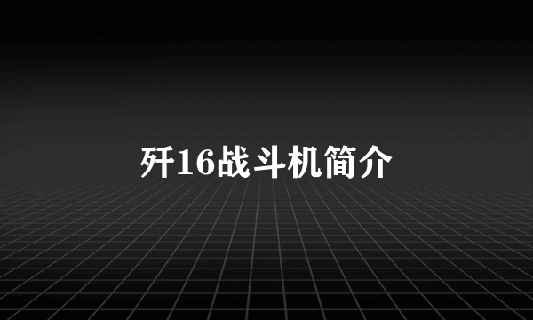 歼16战斗机简介