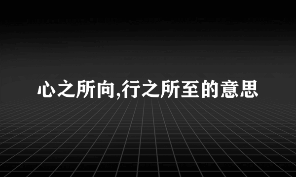 心之所向,行之所至的意思