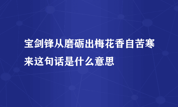 宝剑锋从磨砺出梅花香自苦寒来这句话是什么意思