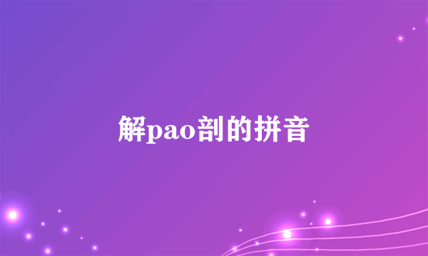 解pao剖的拼音