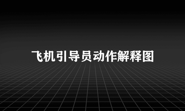 飞机引导员动作解释图