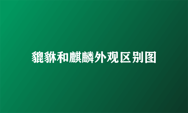 貔貅和麒麟外观区别图