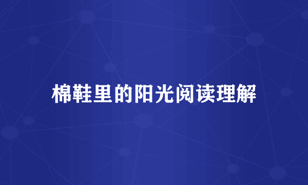 棉鞋里的阳光阅读理解